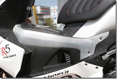 PGO G-MAX 150 200 ｱﾛｰﾛ カーボン