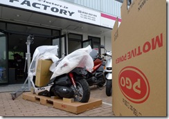 tigra125