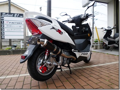 pgo-tigra-ex1