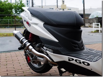 pgo-tigra-ex2