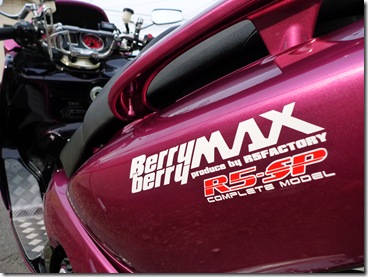 tmax-custom_11