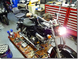 magna_10