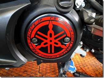 tmax_serizawa_4