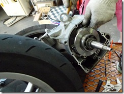 TIGRA125 ﾎﾞｱUP (6)