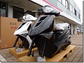 pgo tigra150 (4)