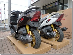 pgo tigra150 (5)