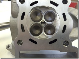 TIGRA G-MAX ﾋﾞｯｸﾍｯﾄ