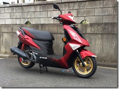 pgo tigra125.150 013